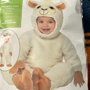 Llama custom 12-24 months